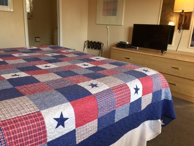 patriotic 204